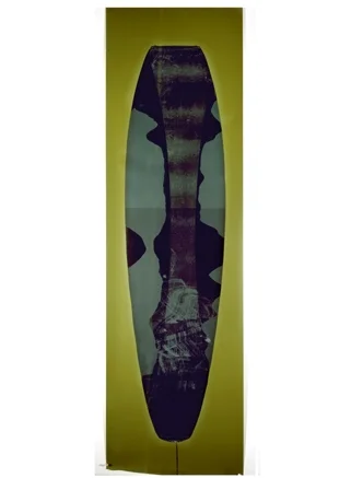 Ellen Carey, Pulls & Rollbacks, Polaroid