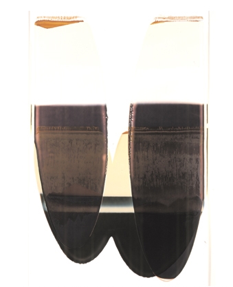 Ellen Carey, Pulls & Rollbacks, Polaroid