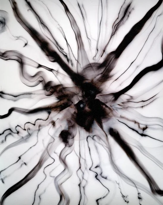 Ellen Carey, Photogenic Drawings, Struck By Light