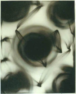 pgd_99_1.jpg