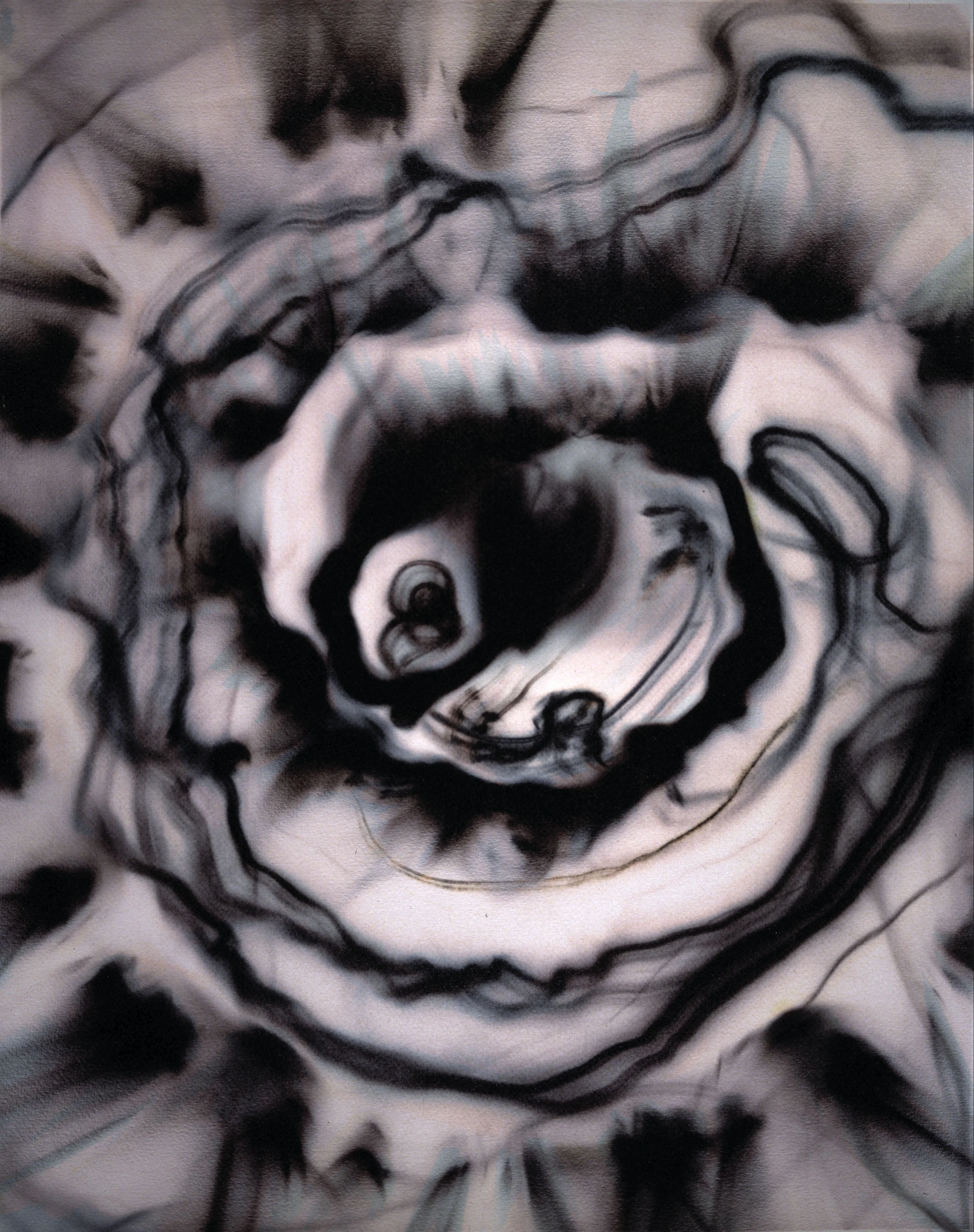 Ellen Carey, Photogenic Drawing