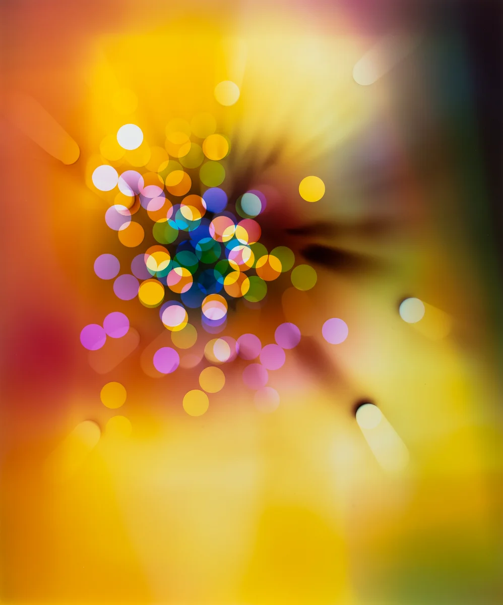 Ellen Carey, Light Struck