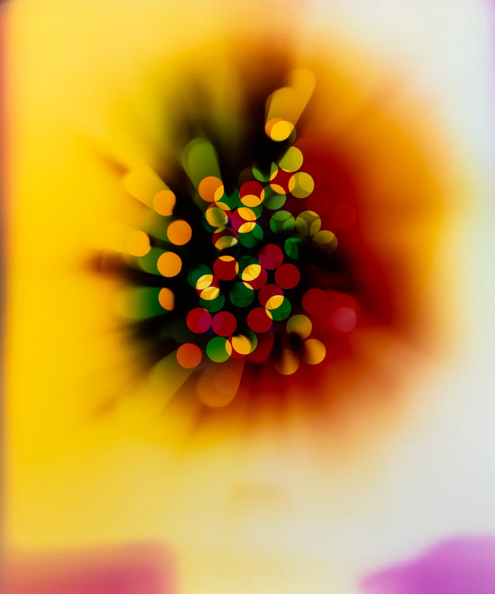 Ellen Carey, Light Struck