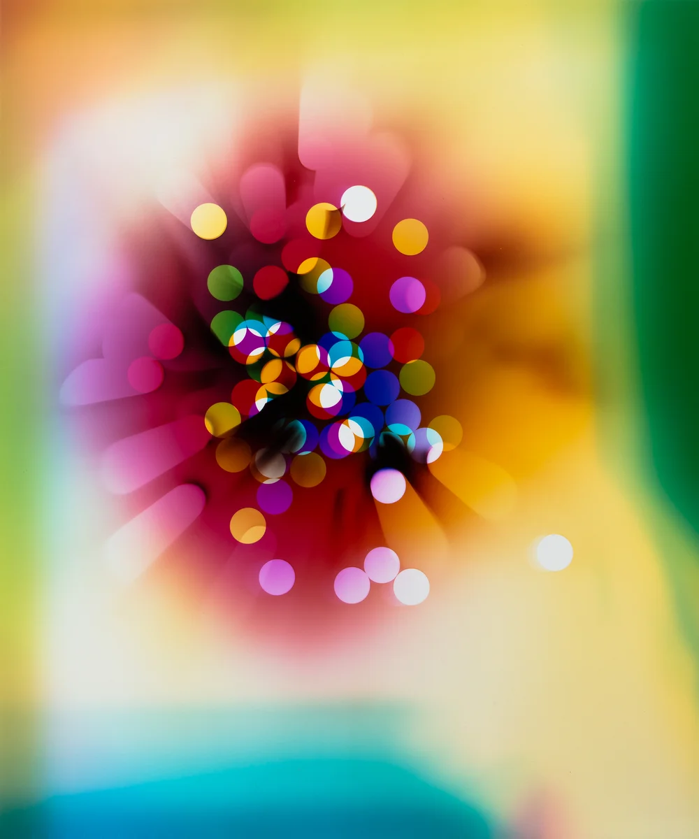 Ellen Carey, Light Struck