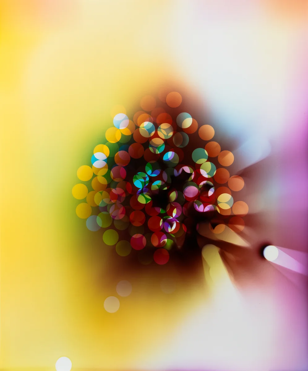 Ellen Carey, Light Struck