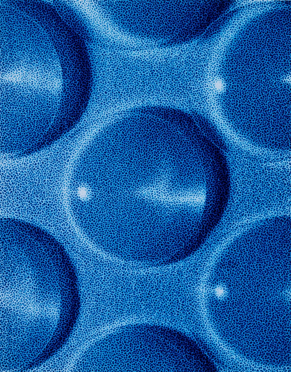 Ellen Carey, Light Struck