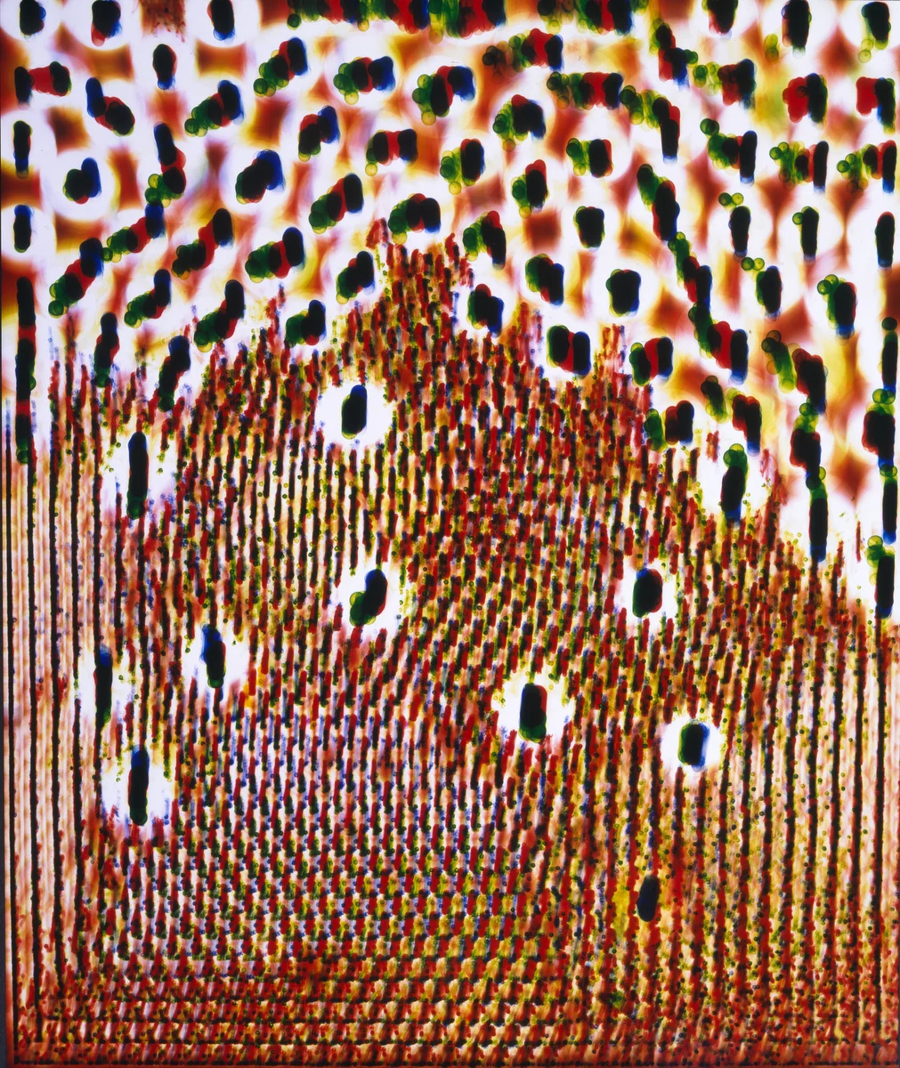 Ellen Carey, Light Struck