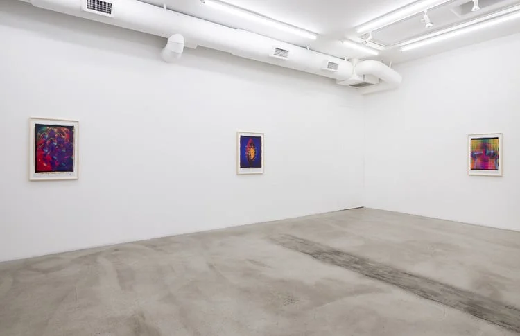 Ellen+Carey+Photography,+M+B+Gallery,+Ellen+Carey,+Polaroid+20x24,+Art,+Photography,+Self+Portraits-7.jpeg