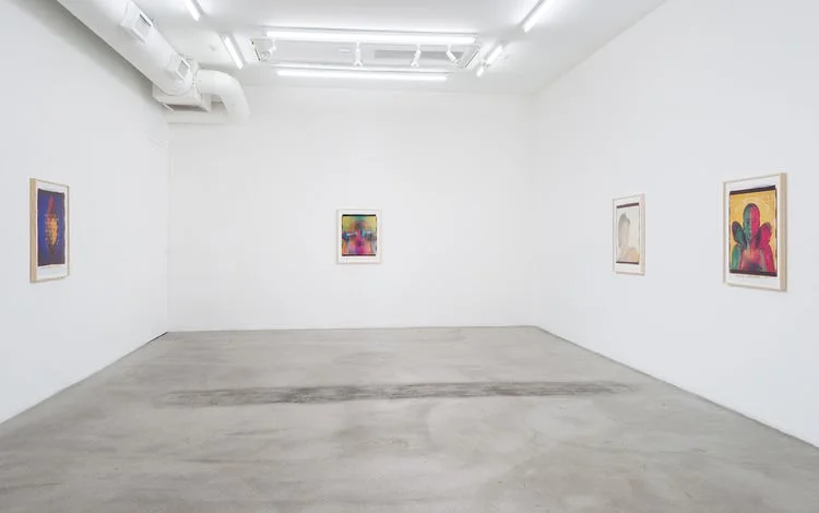 Ellen+Carey+Photography,+M+B+Gallery,+Ellen+Carey,+Polaroid+20x24,+Art,+Photography,+Self+Portraits-6.jpeg