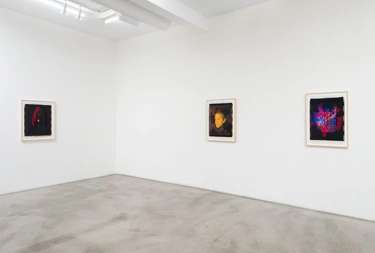 Ellen+Carey+Photography,+M+B+Gallery,+Ellen+Carey,+Polaroid+20x24,+Art,+Photography,+Self+Portraits-4.jpeg