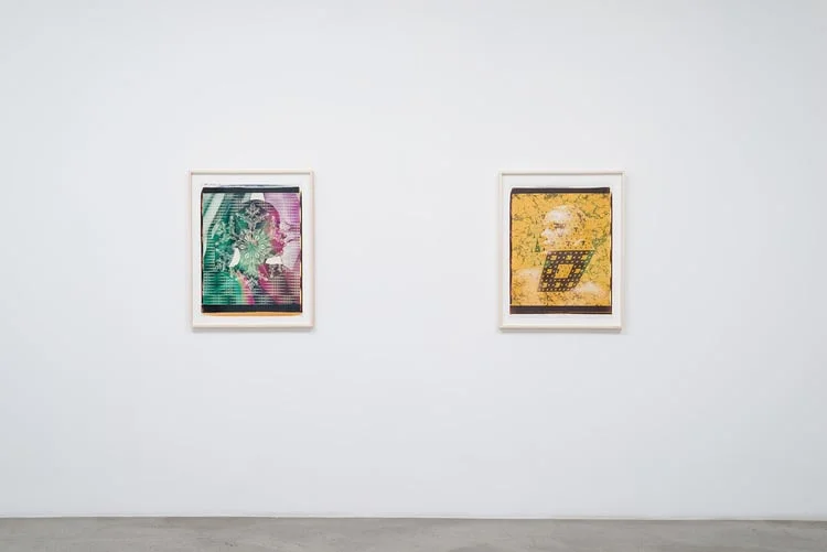 Ellen+Carey+Photography,+M+B+Gallery,+Ellen+Carey,+Polaroid+20x24,+Art,+Photography,+Self+Portraits-3.jpeg