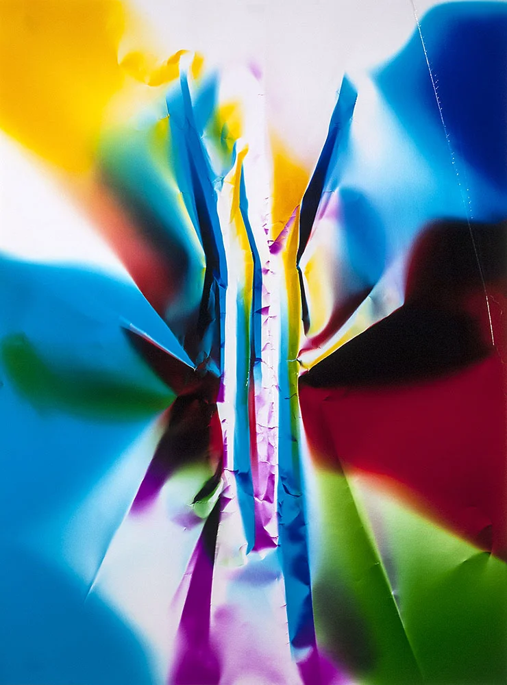  Ellen Carey, Ellen Carey Photography, Polaroid 20 x 24, Chisara 