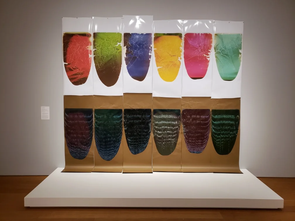 Norton Museum of Art, 2019