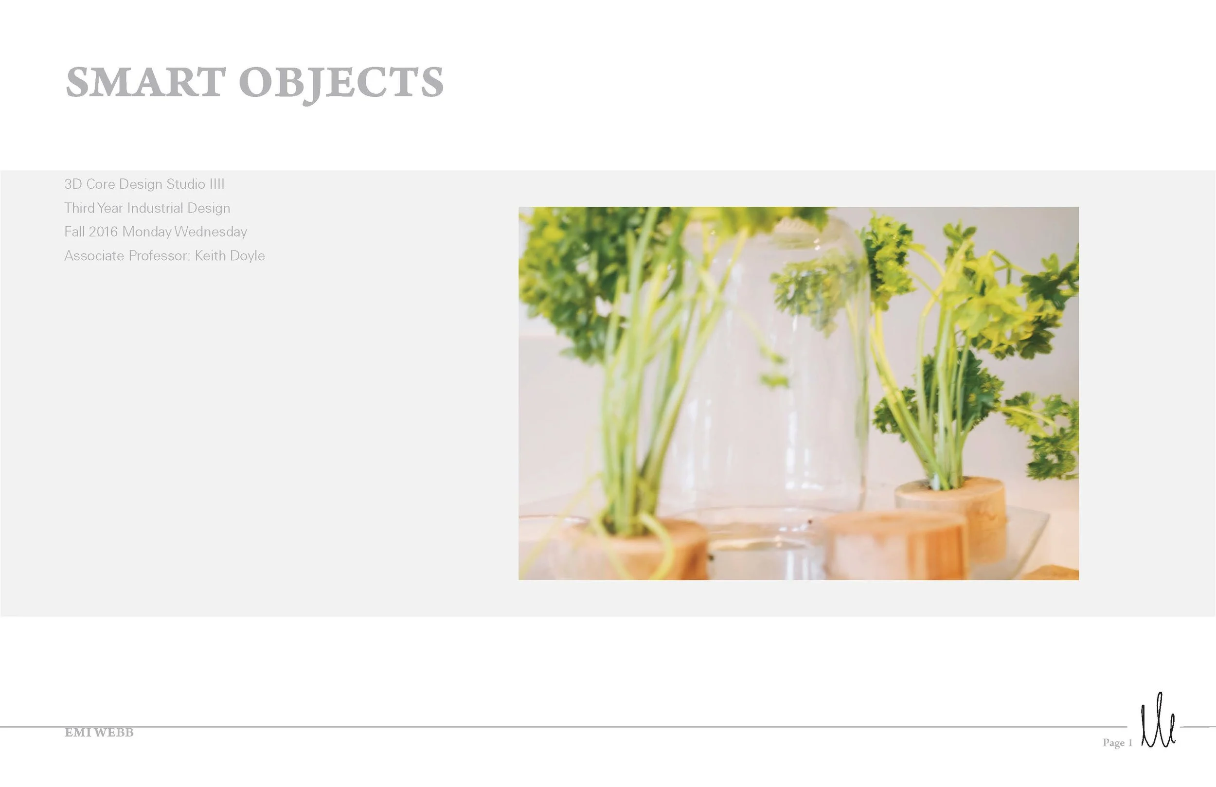 Emi_Webb_Process_Smart_Objects_Page_01.jpg