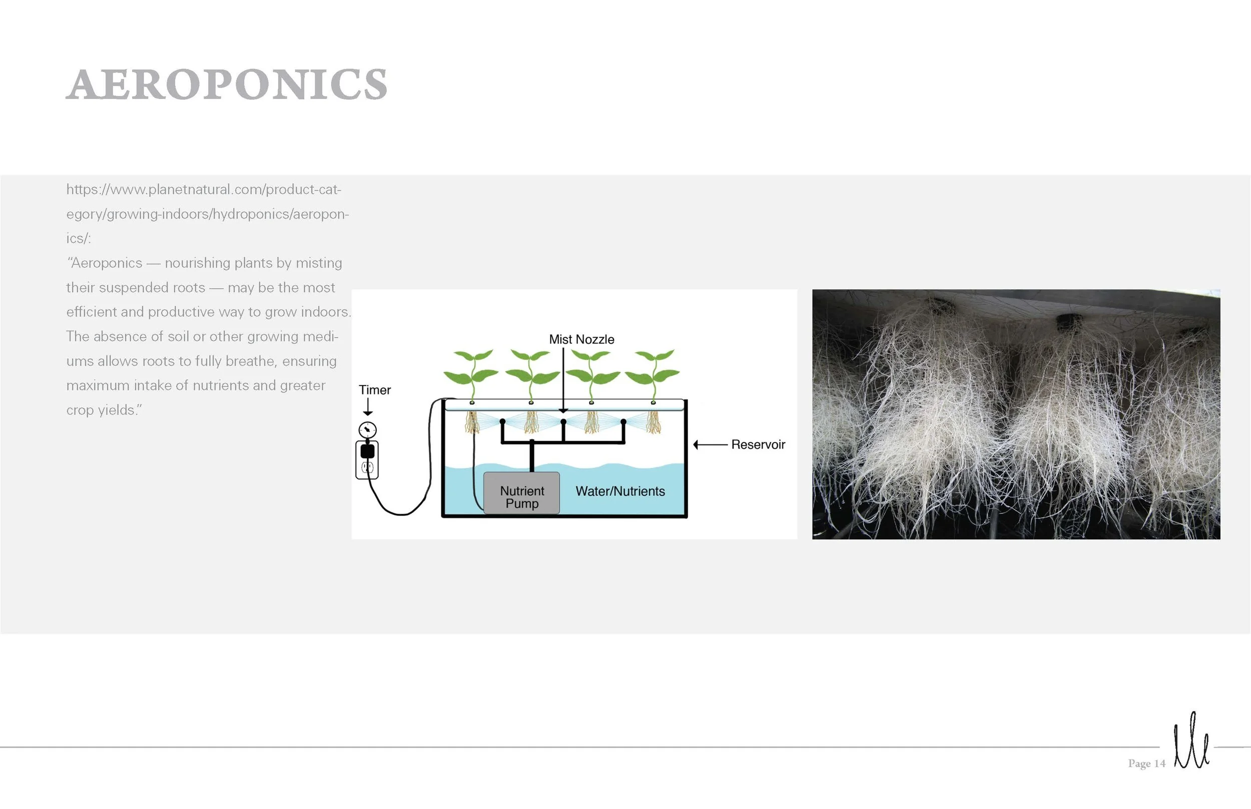 Emi_Webb_Process_Smart_Objects_Page_14.jpg