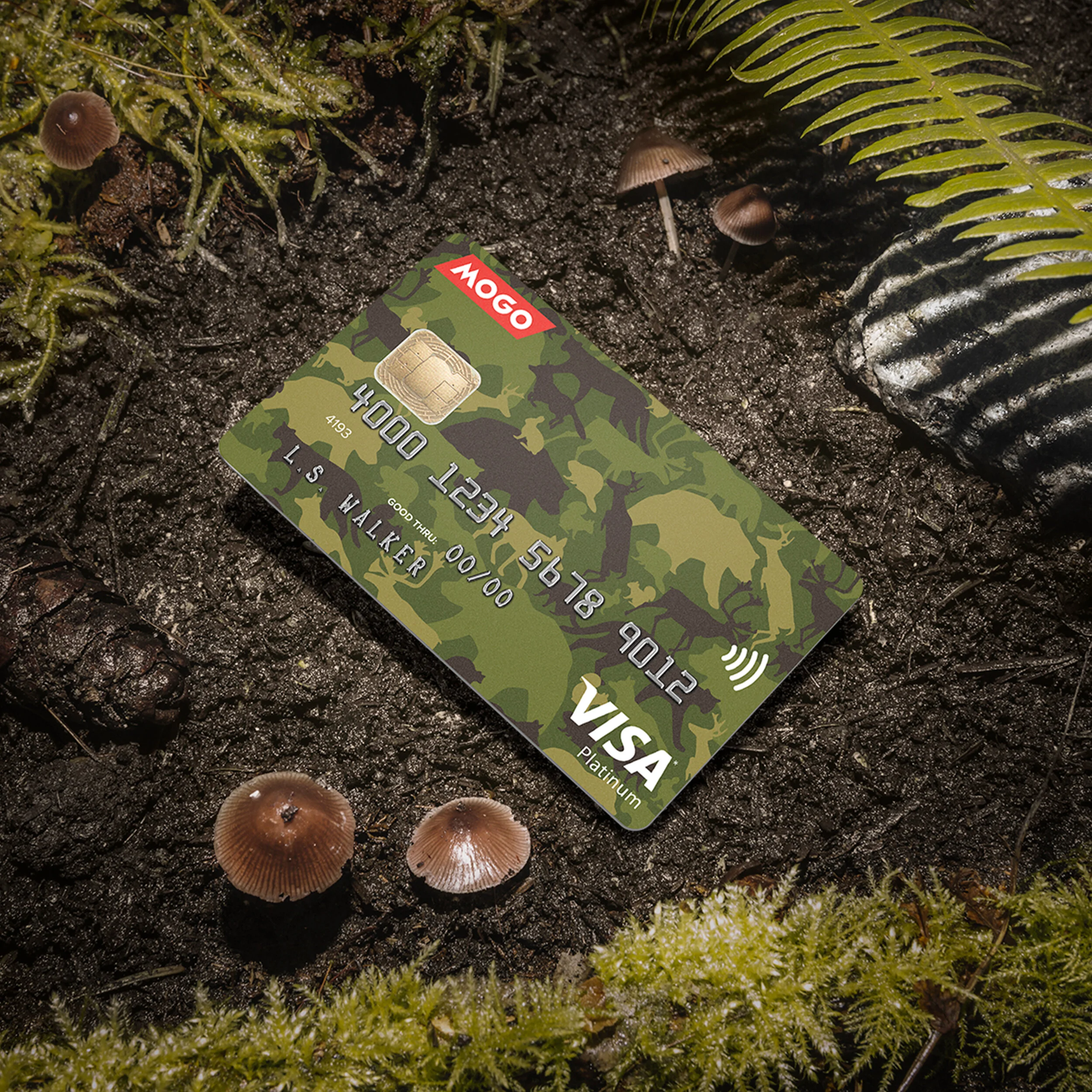 camo-comp.jpg