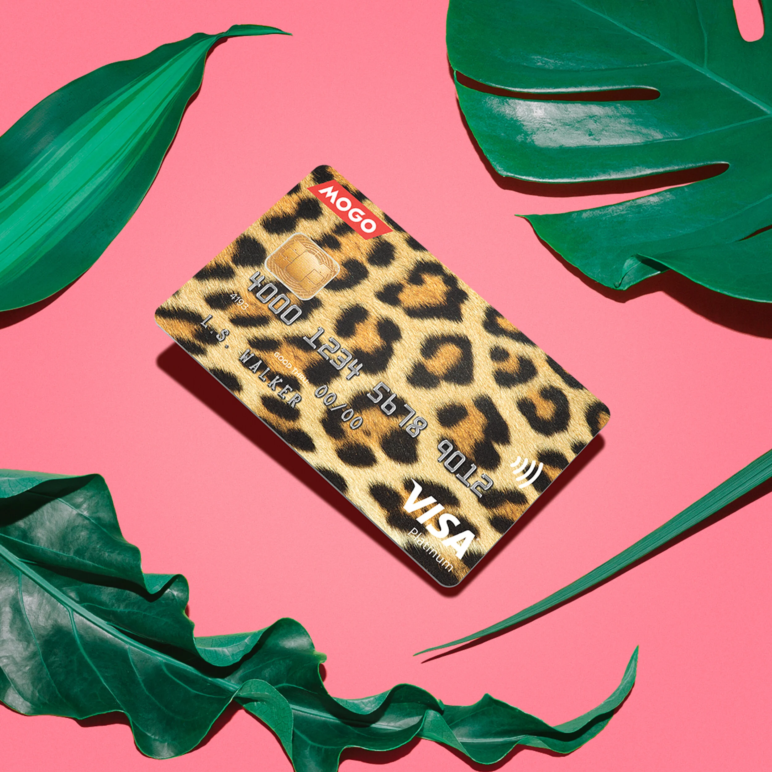 leopard-comp.jpg