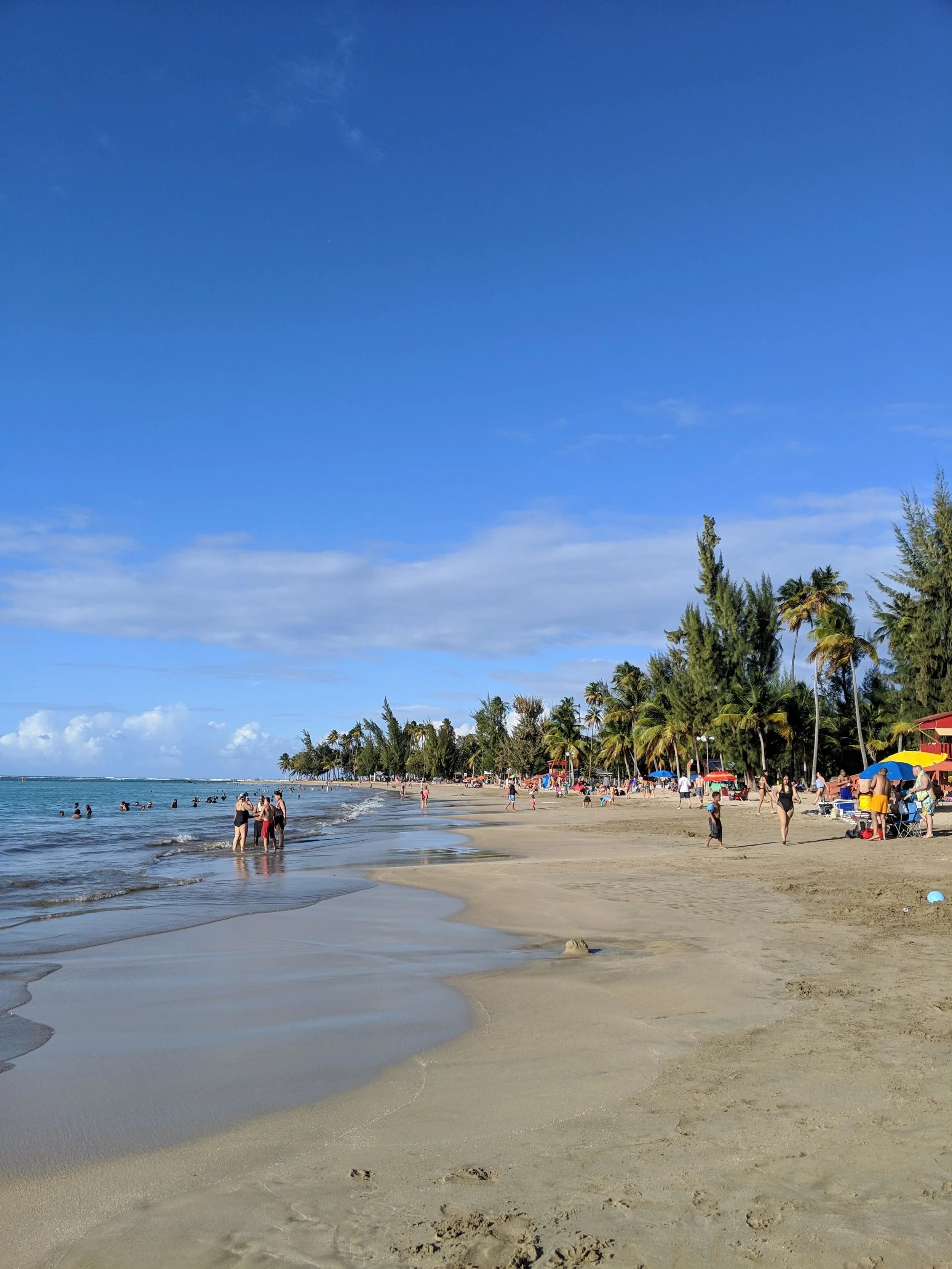 A wide view of the beach that we explored
