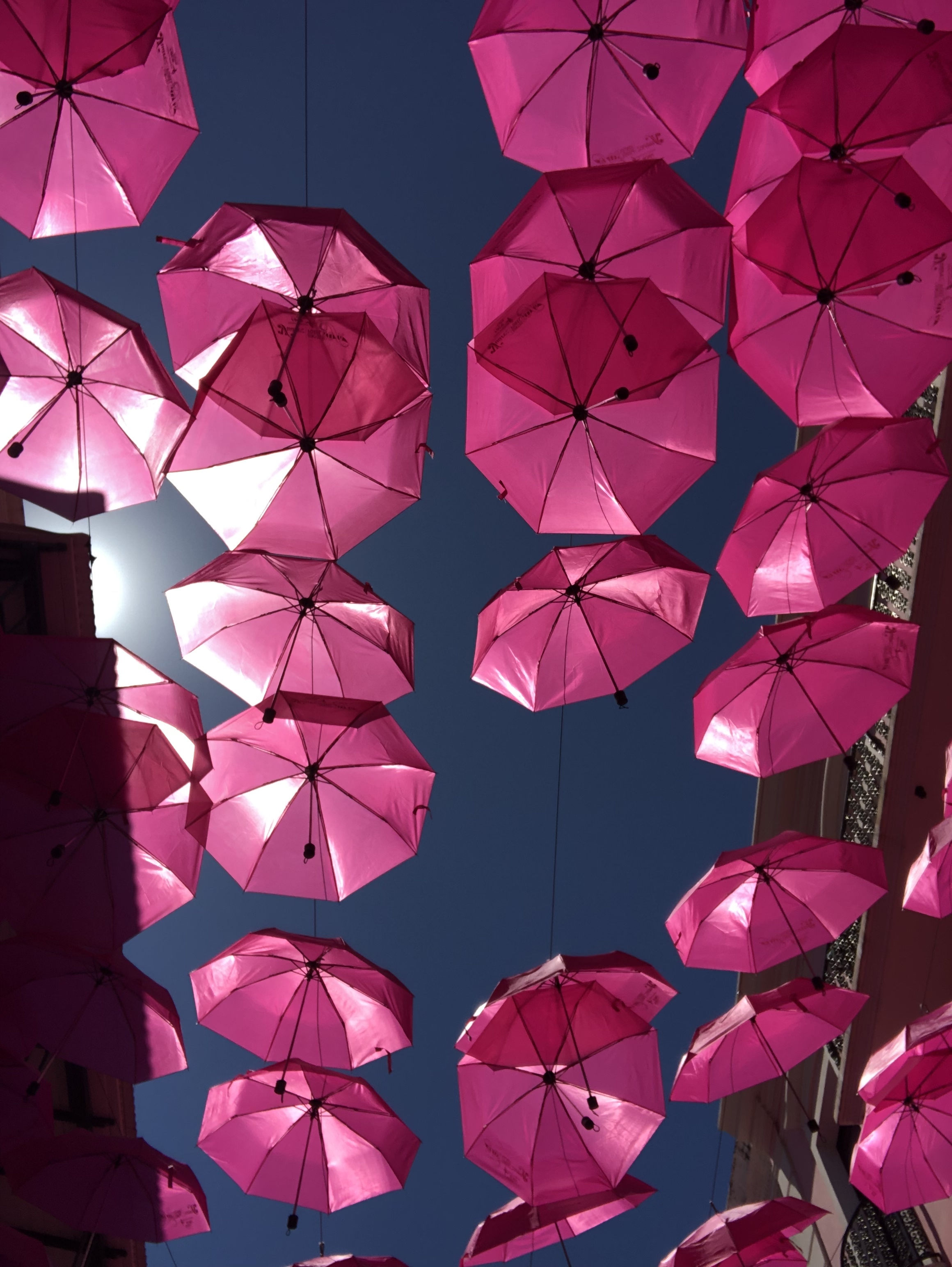 This is the beautiful artwork that can be seen from the ground in umbrella street!!