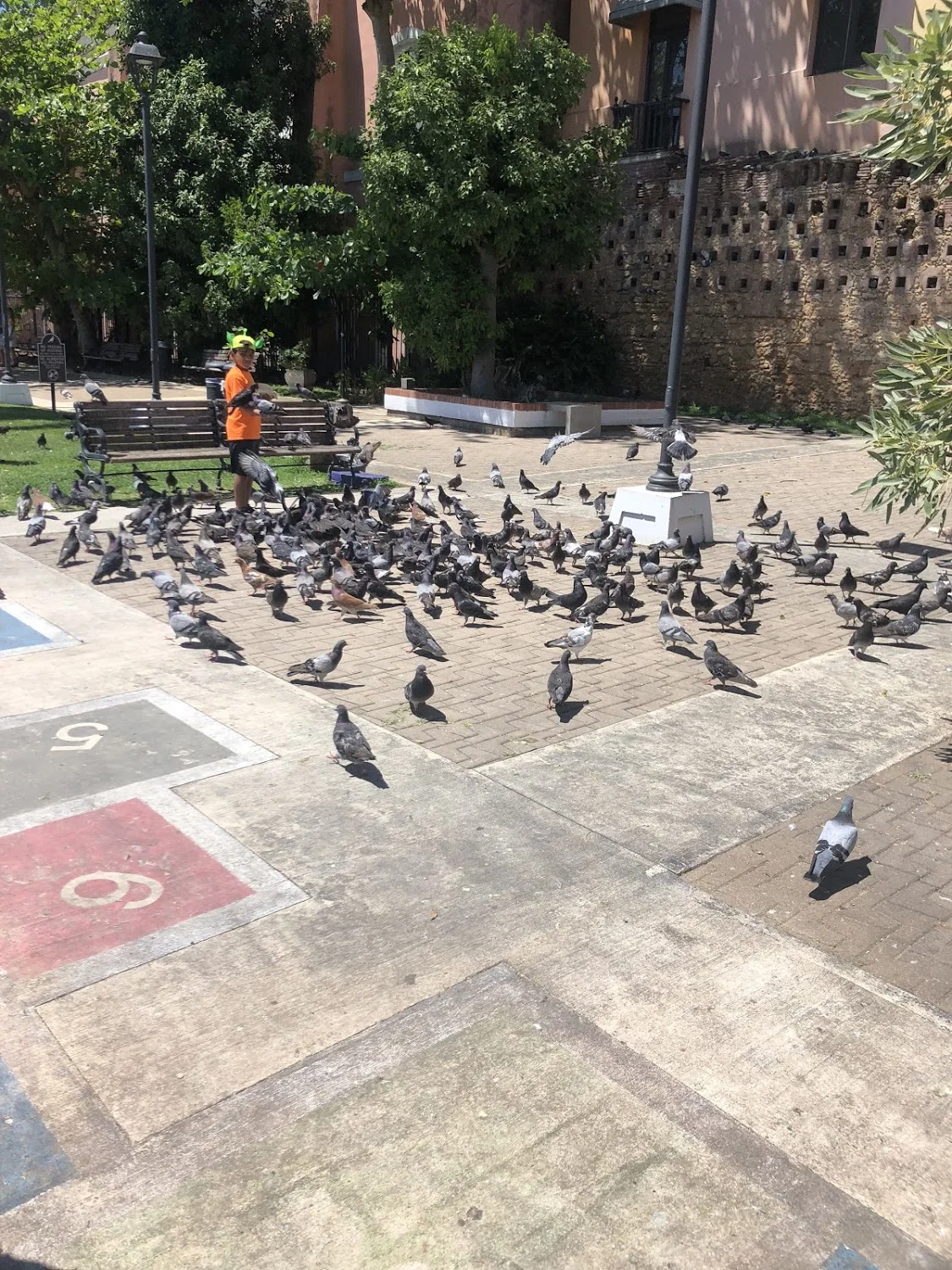 This is the pigeon park in Old San Juan. The pigeons here are so used to humans that they don’t even fly away unless you get very close them them! One even landed on Becca Lamb’s shoulder!