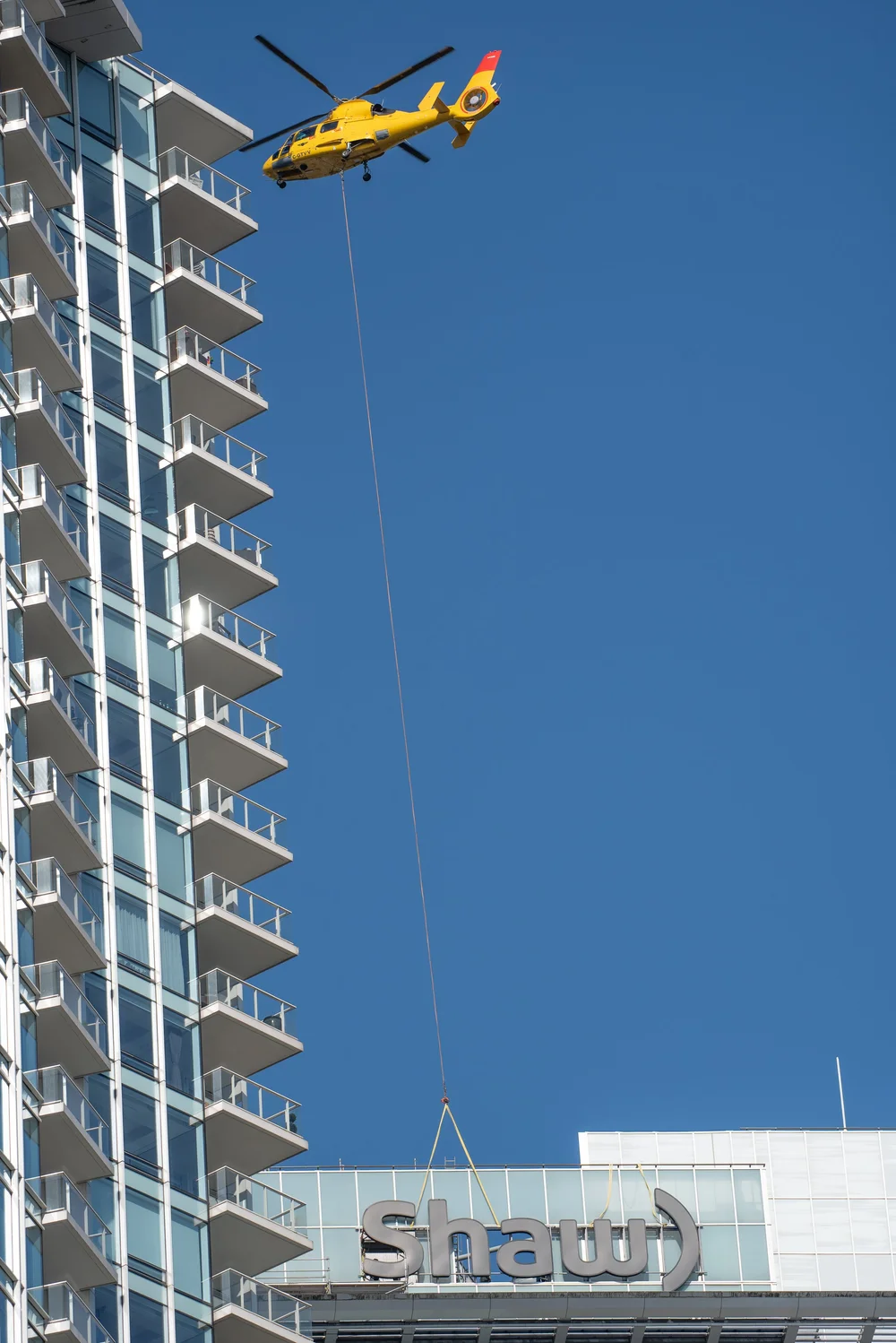 Case Studies | Knight Signs — Knight Signs