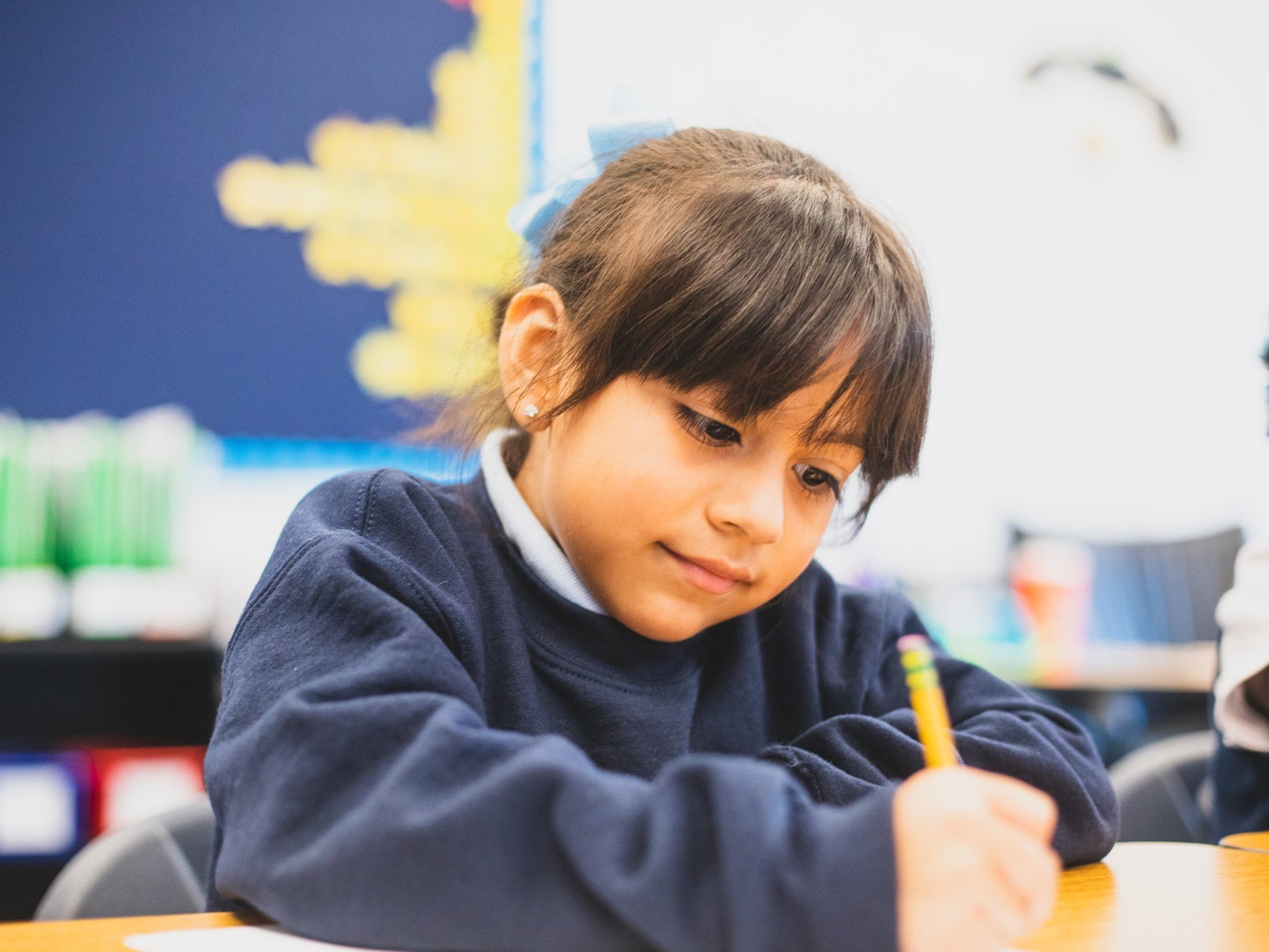 Free Charter Schools Vista College Prep Free Charter Schools Vista College Prep