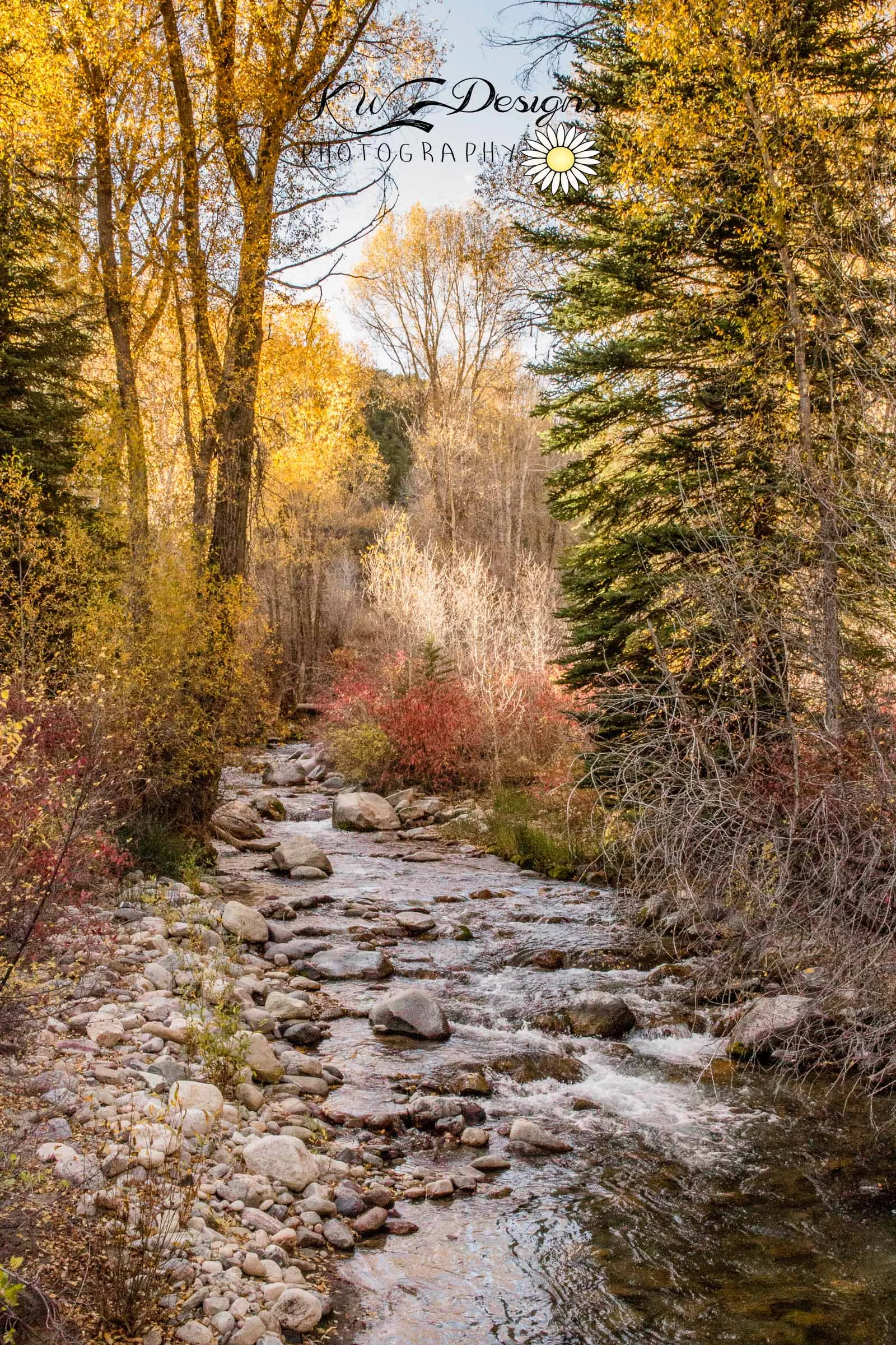 Nature Outdoor Photographer Lakewood Colorado