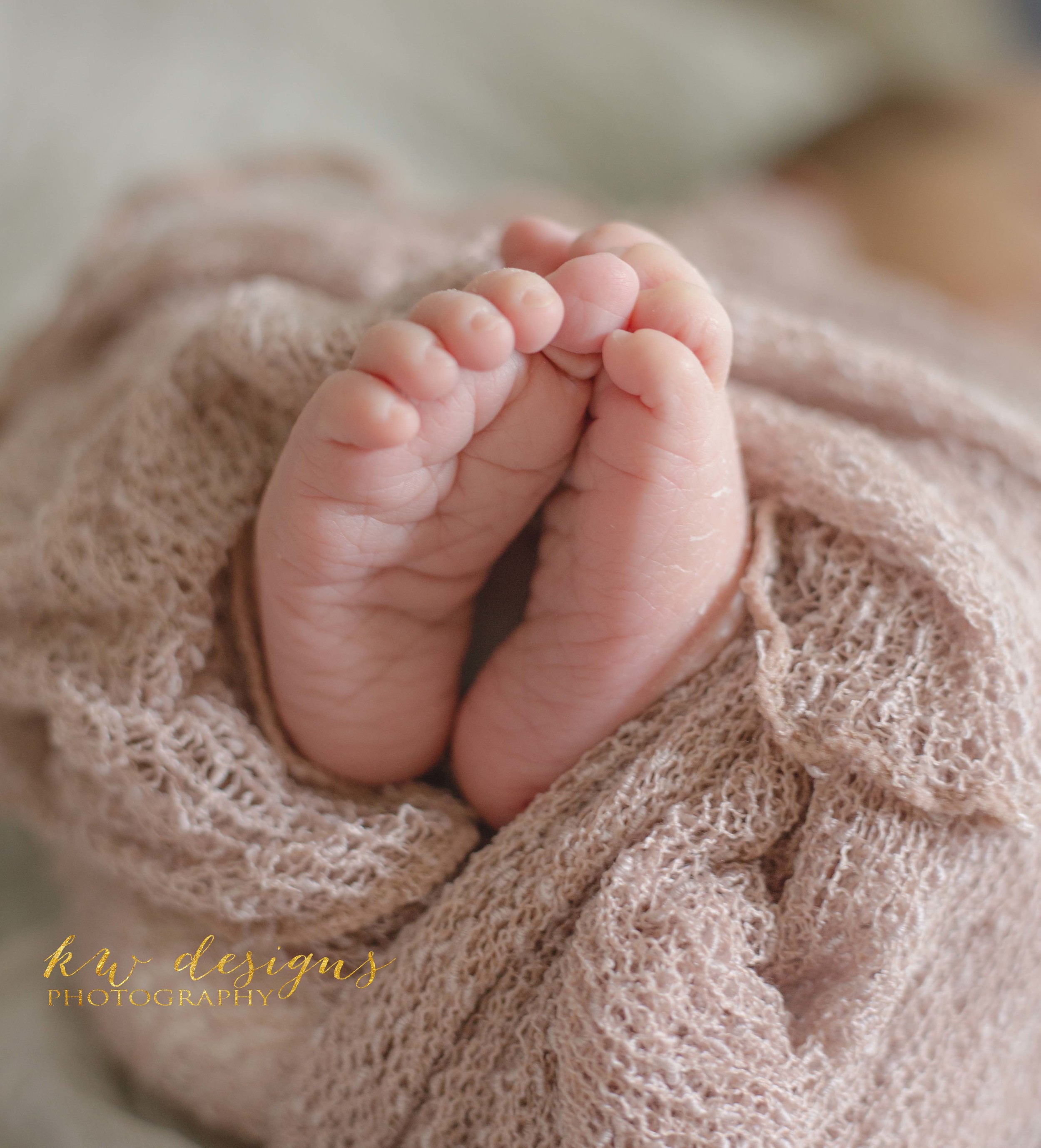 Lakewood CO Newborn Photographer 6.jpg