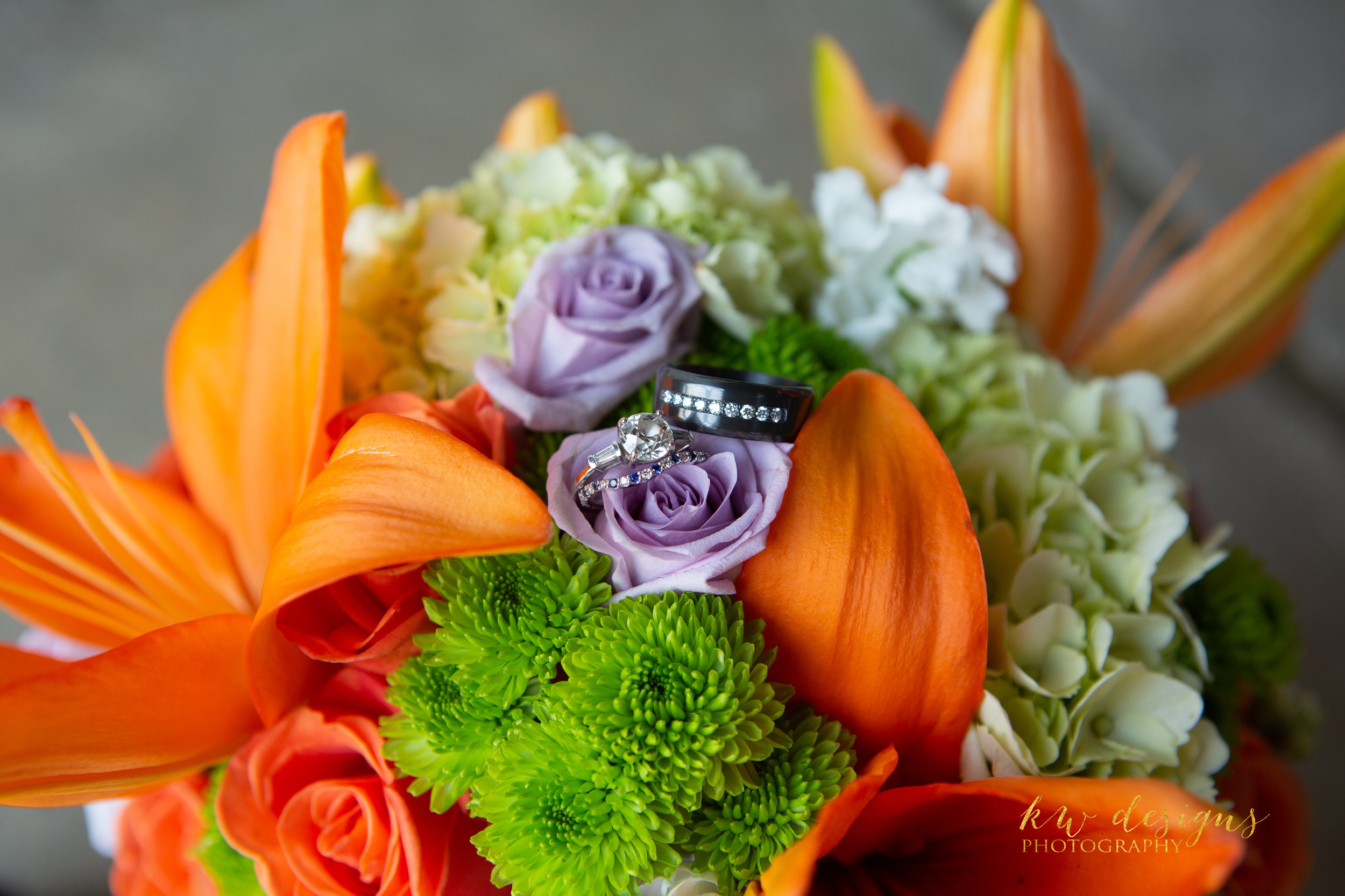 Budget Wedding Photographer Lakewood Colorado