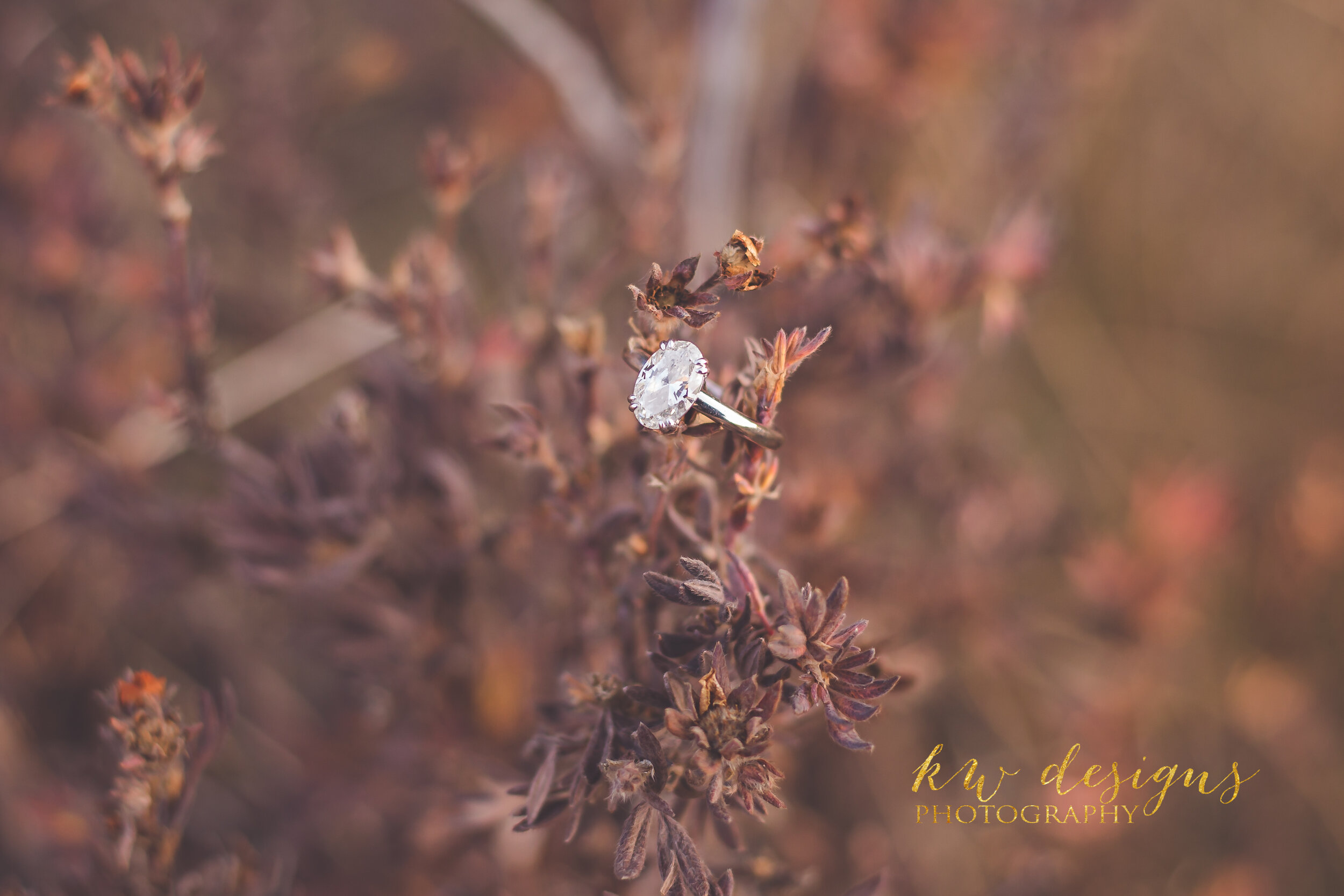 Sunset Engagement Session | Guanella Pass | Colorado