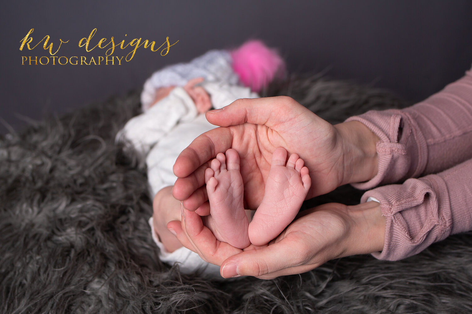 Lakewood Colorado Newborn Photographer