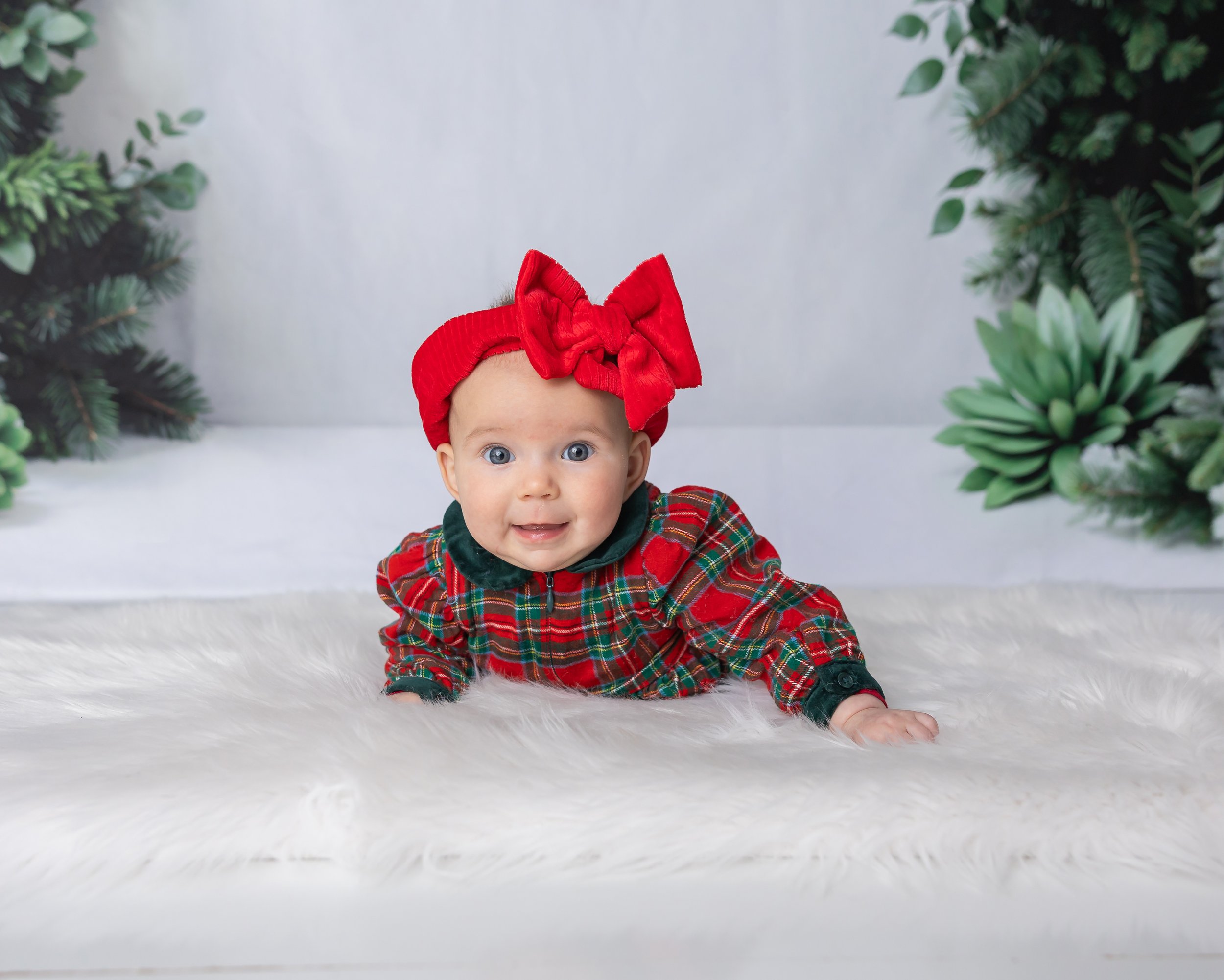 Holiday Mini-1.jpg