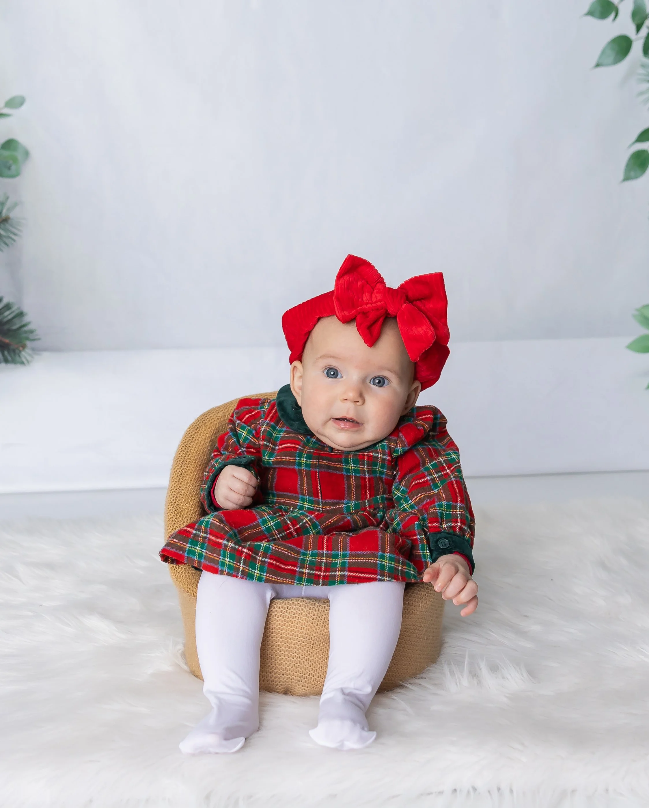 Holiday Mini-3.jpg