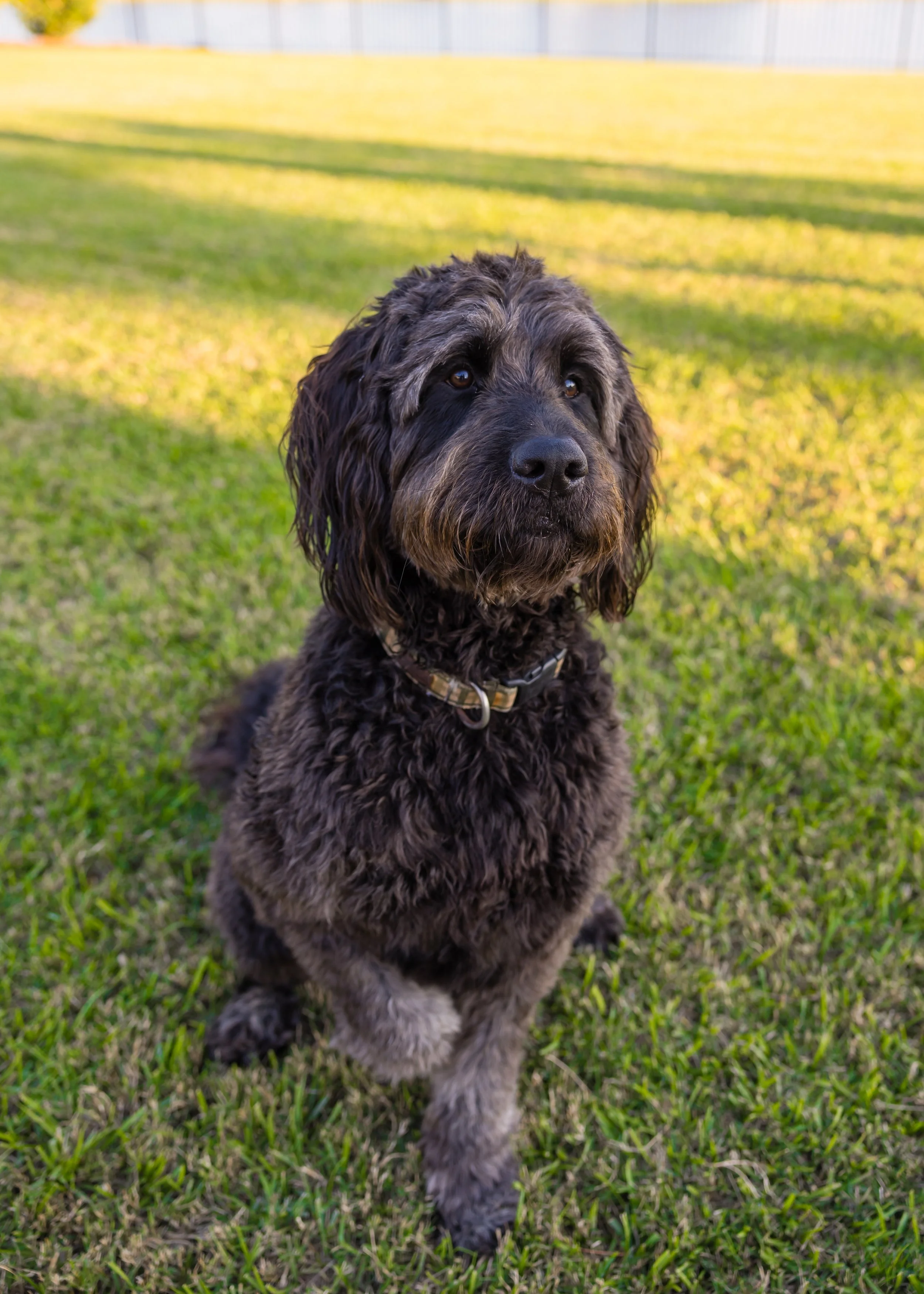 Hanks Family Portraits-41.jpg