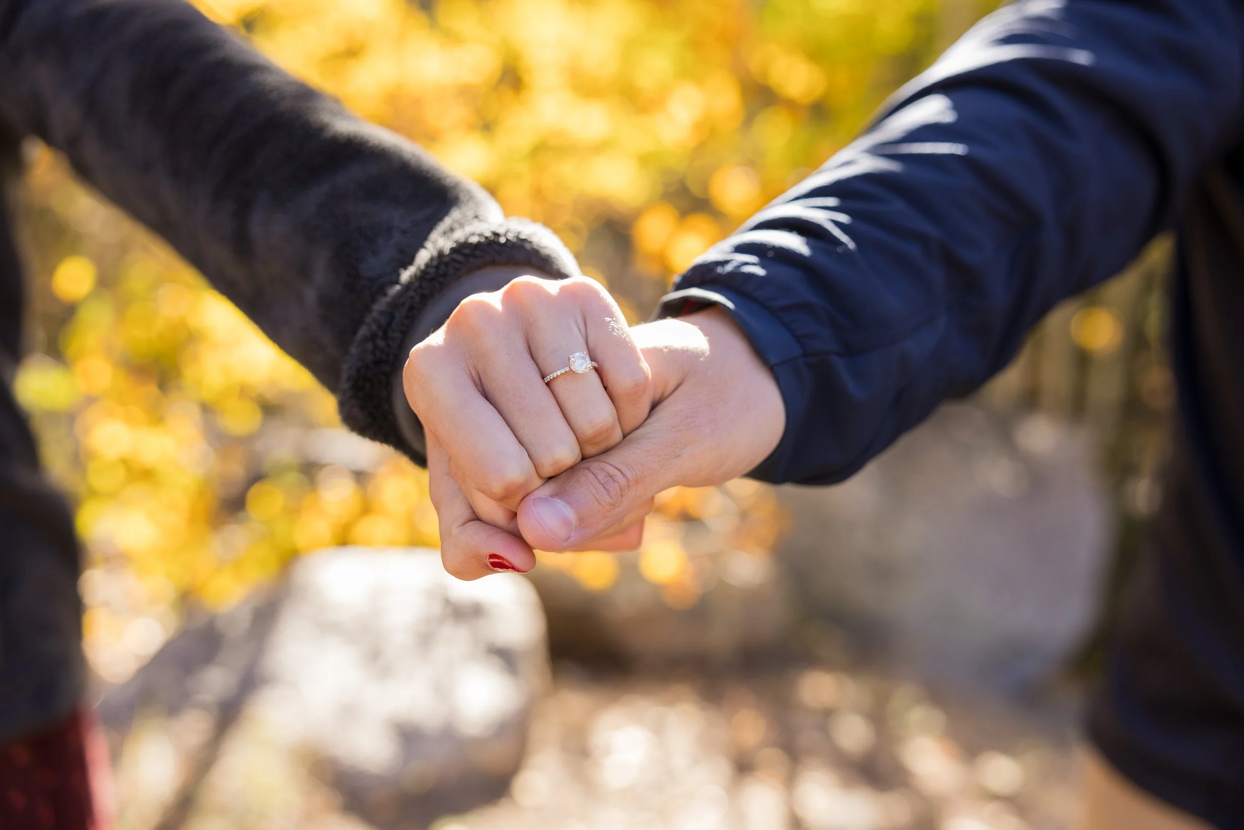 Kelly & Karol engagements Guanella Pass-24.jpg