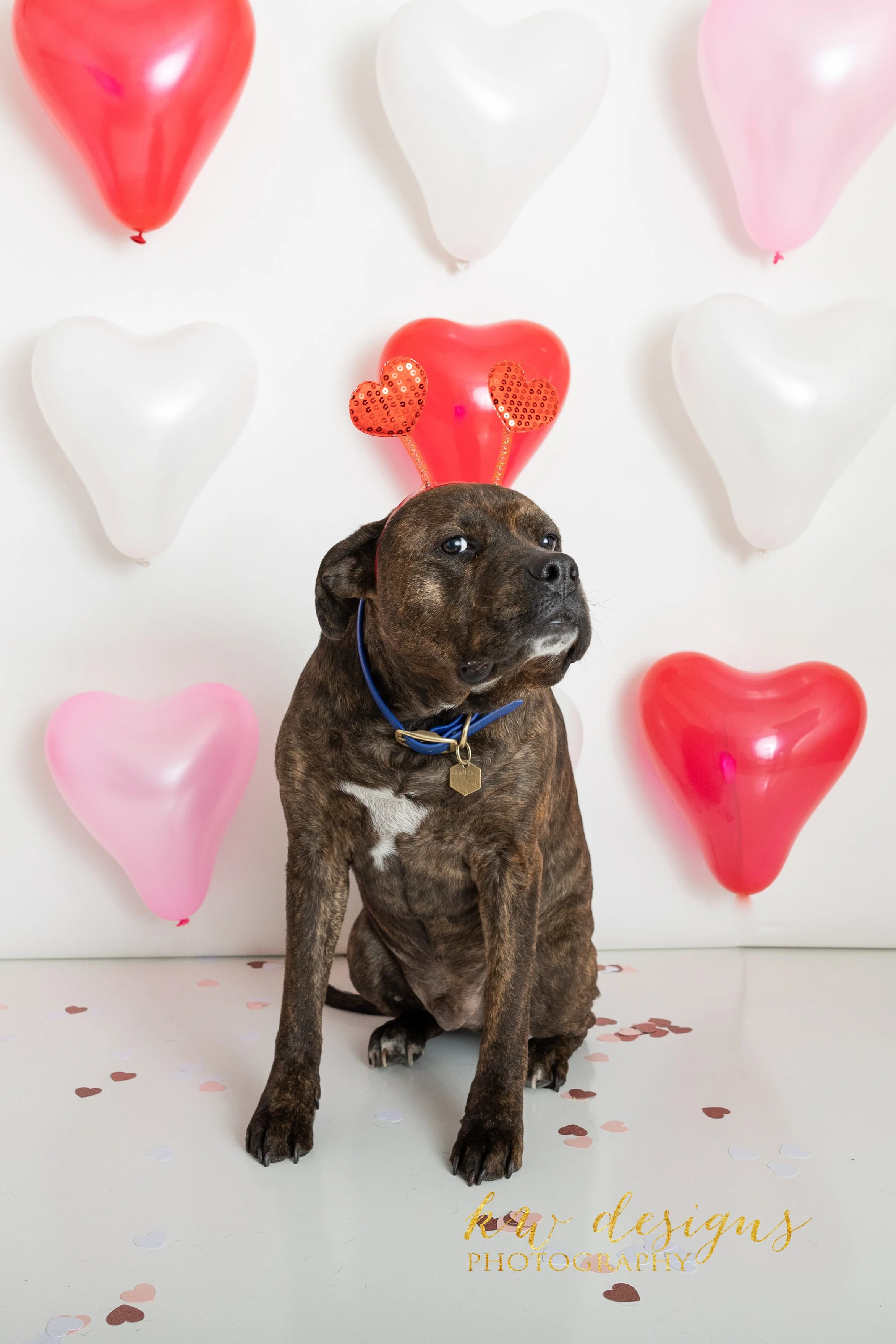 Valentines Minis Dogs LOGO-1.jpg