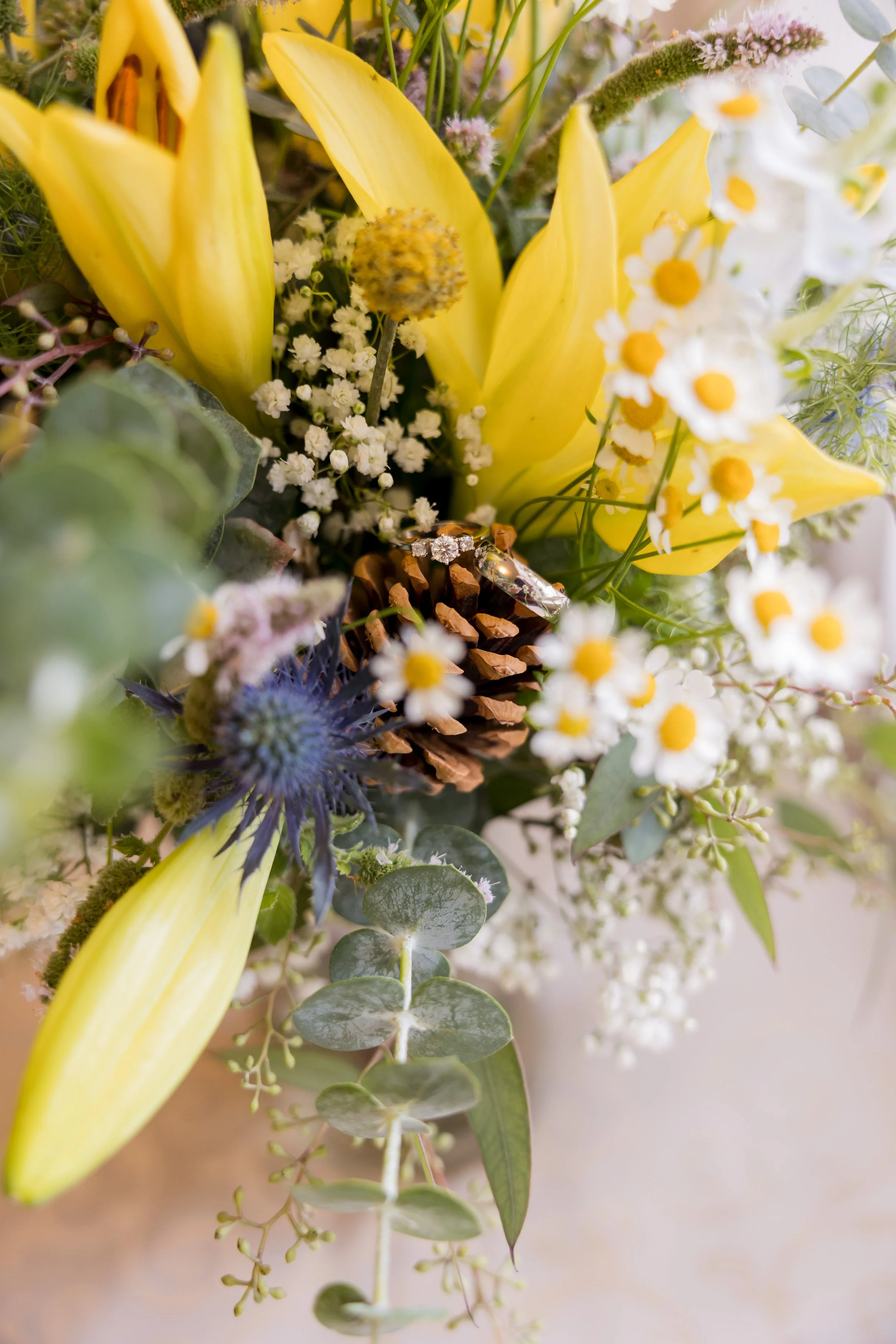 Willow Ridge Manor Wedding 2022-16.jpg
