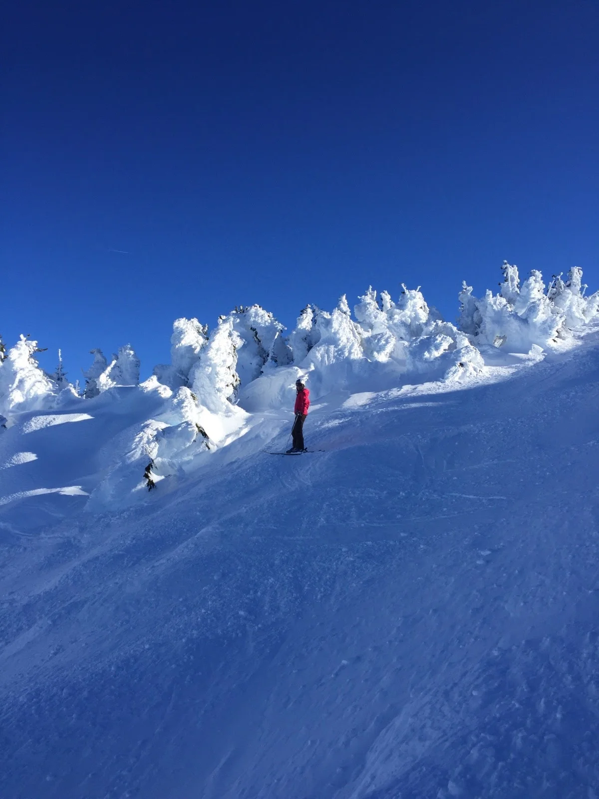 Pondering life and my quaking quads on Northwest.