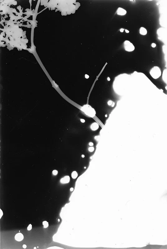 ten movements 04.jpg