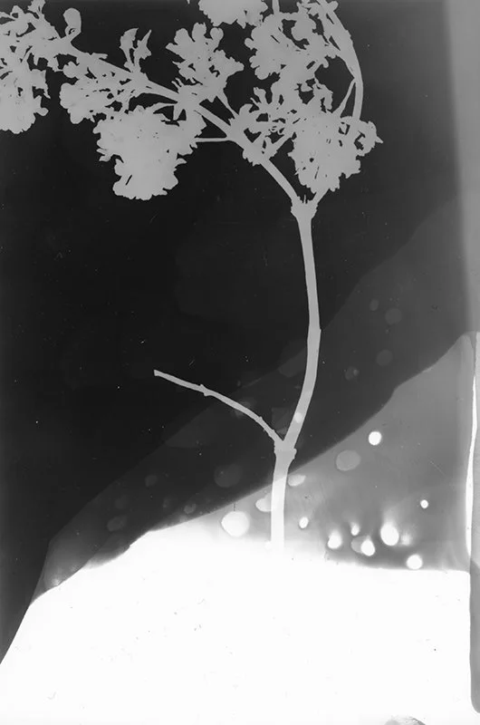 ten movements 11.jpg