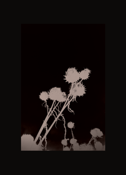 Screen Shot 2025-01-18 at 8.17.46 PM.png