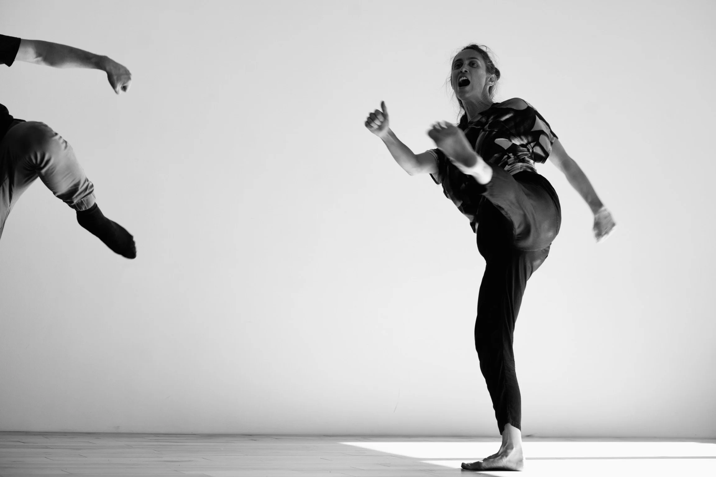 Catherine Cédillot dirigera cet automne (2026) l'atelier  "Disponibilité émotionnelle et physique (de l’actrice/de l'acteur)"