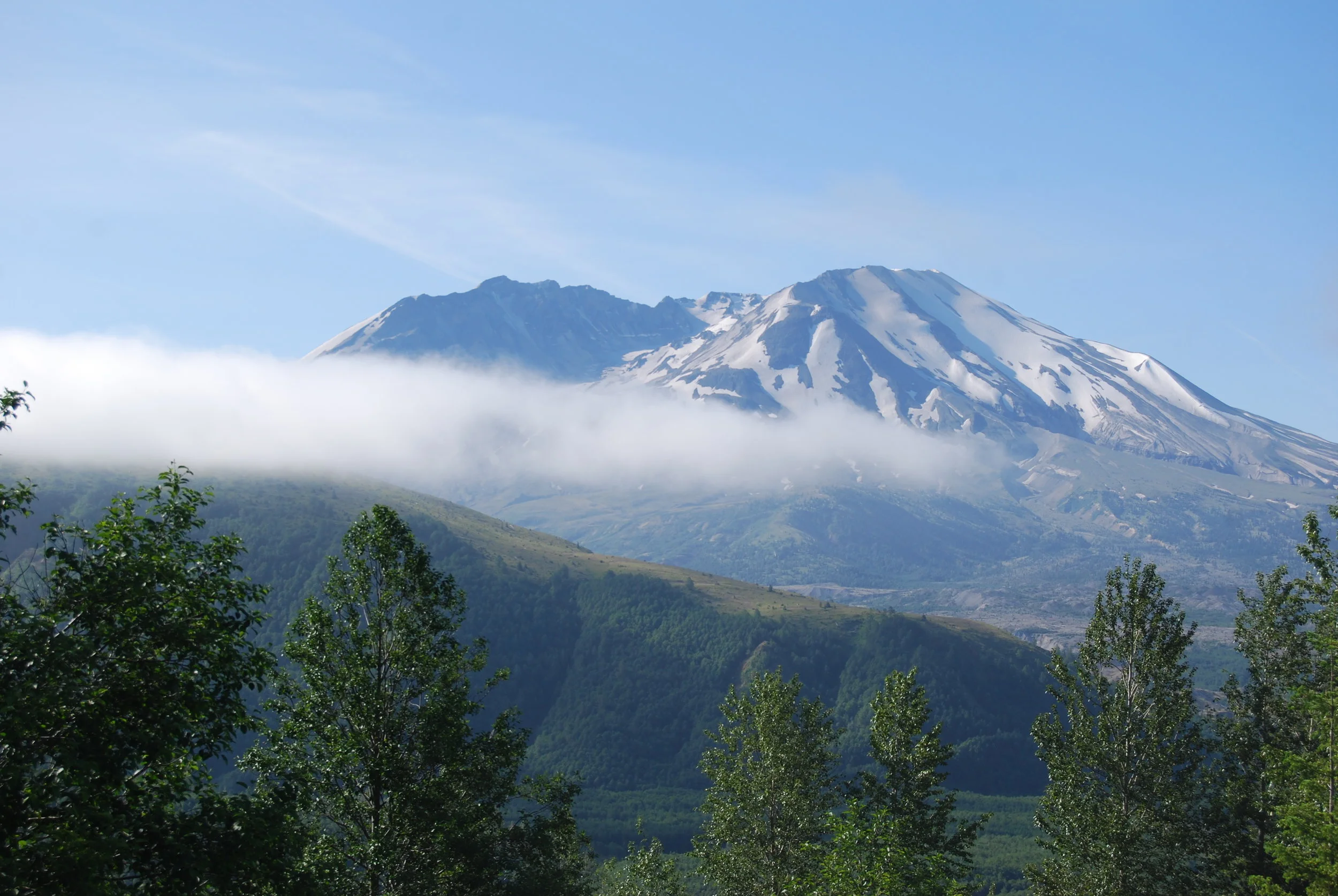 US Forest Service IDIQ