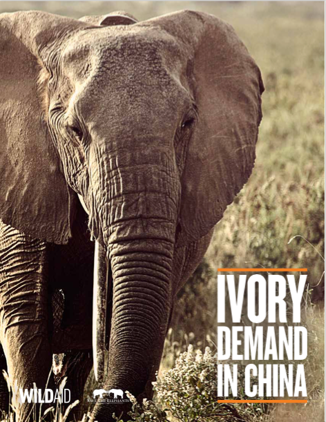 User & Market Research, Global Report in partnership with Virgin & The African Wildlife Foundation 