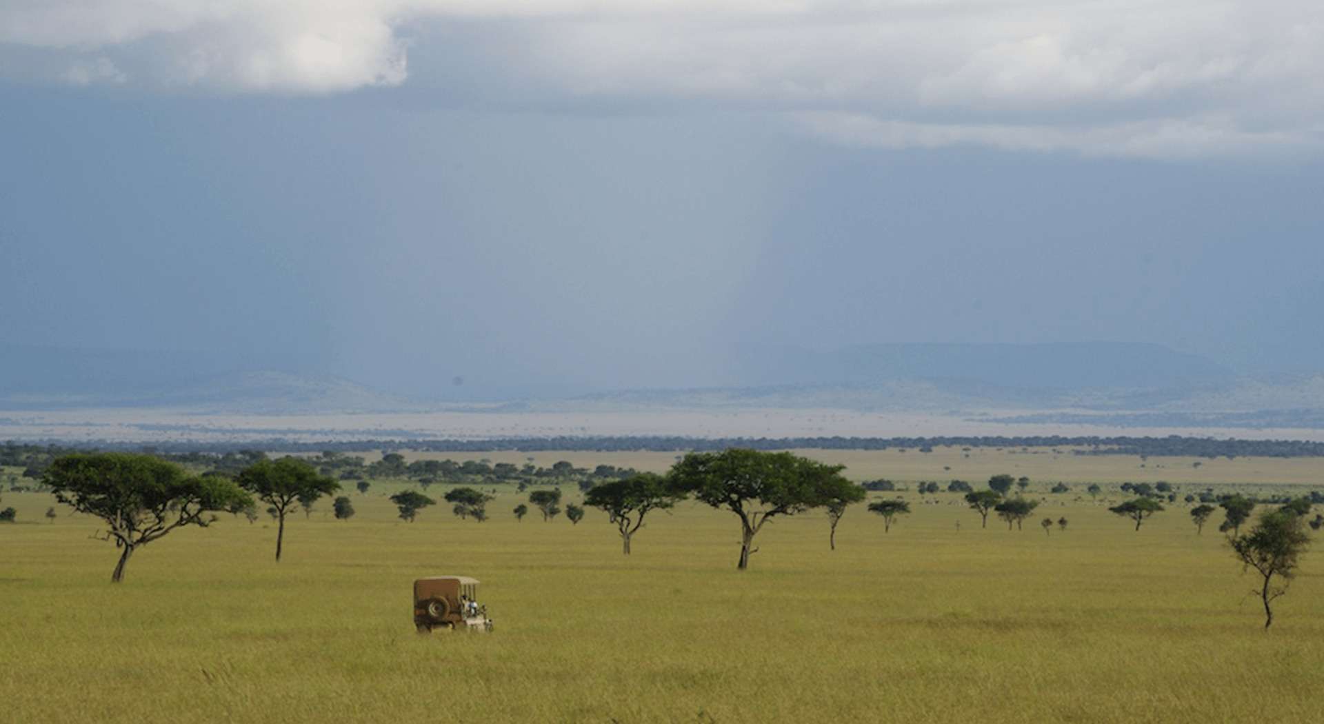  Segera Game Preserve (Photos courtesy of Roar Africa) 