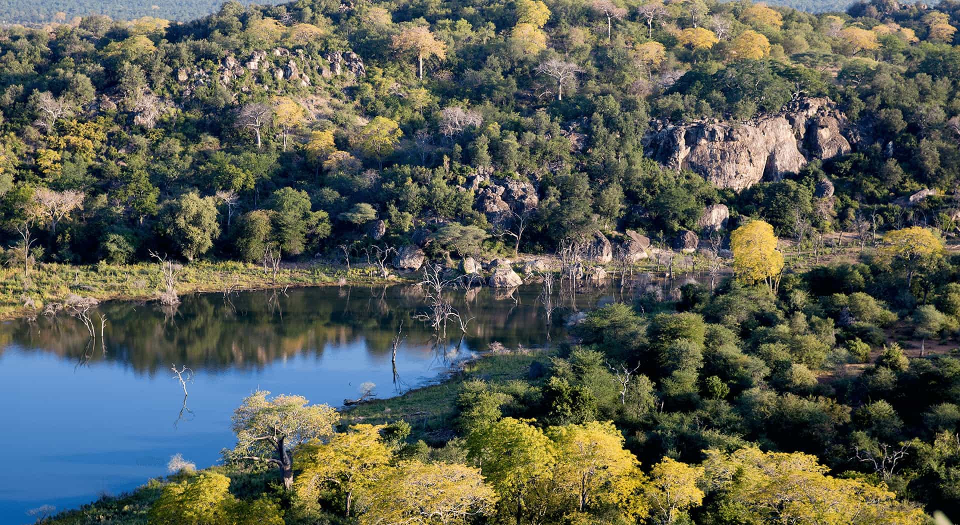  Segera Game Preserve (Photos courtesy of Roar Africa) 