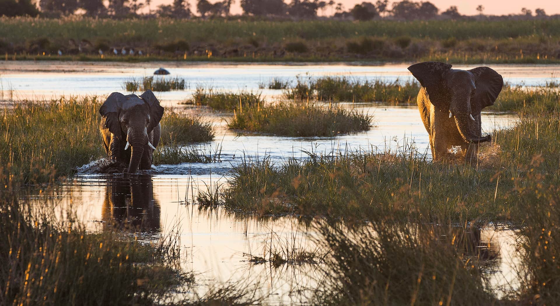  Segera Game Preserve (Photos courtesy of Roar Africa) 