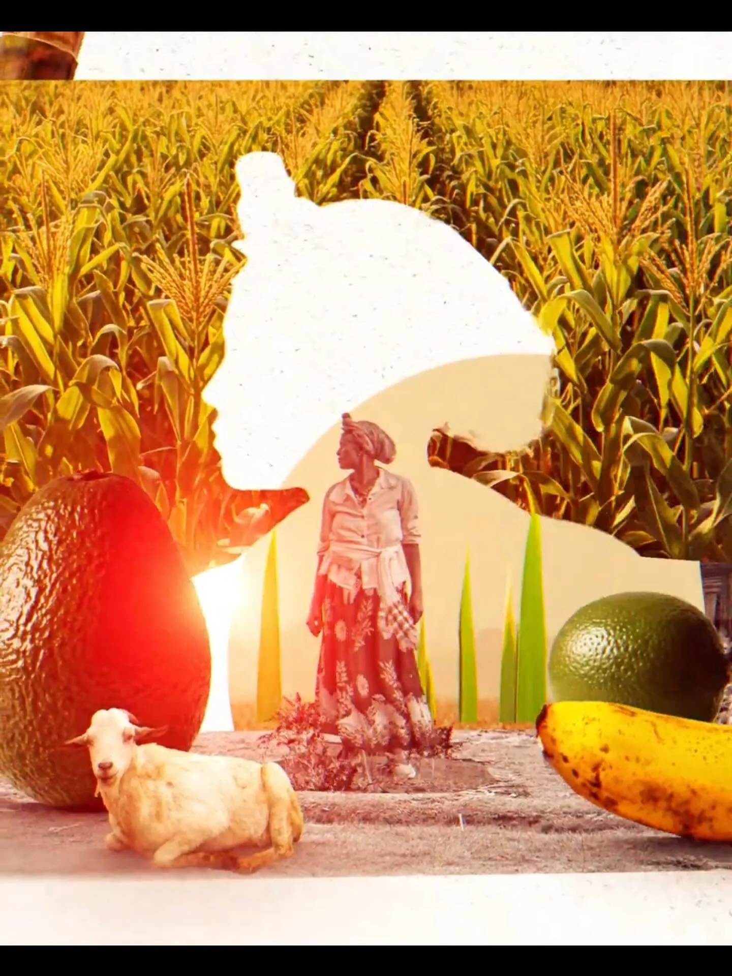 Smallholder farmers, who are disproportionately women, produce 1/3 of the world&rsquo;s food, yet receive less than 1% of climate finance. You can fix that! Link in bio