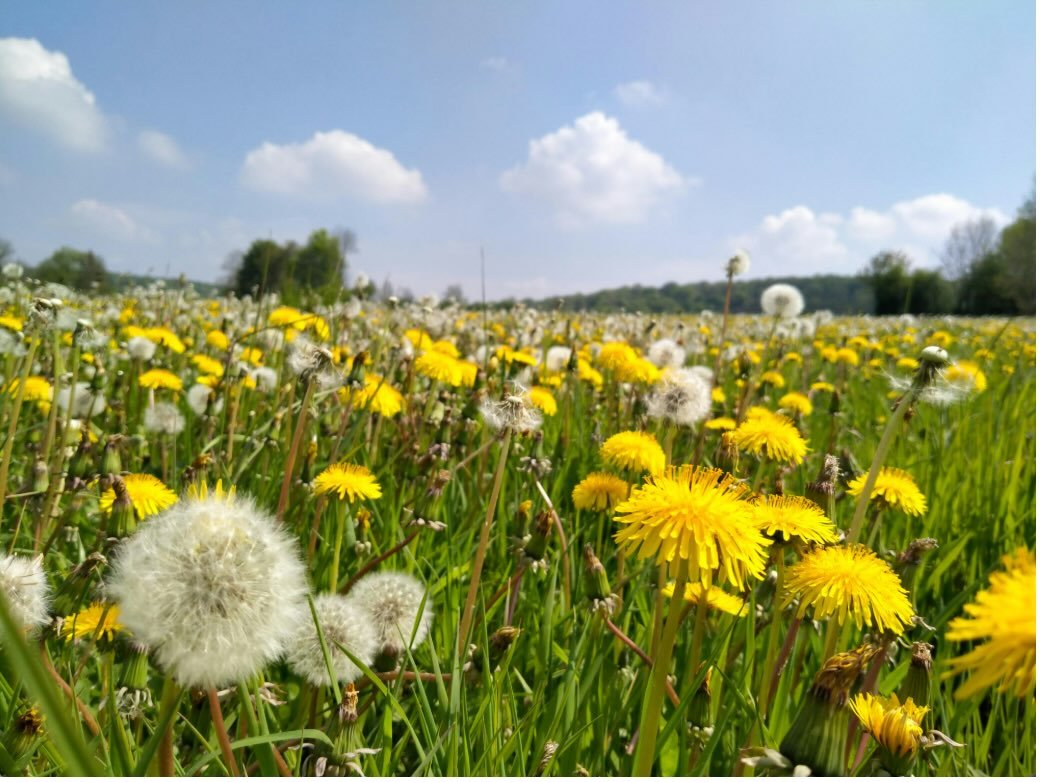 This week&rsquo;s newsletter. Being Present for what Matters most. my word for the year is Present! #linkinbio