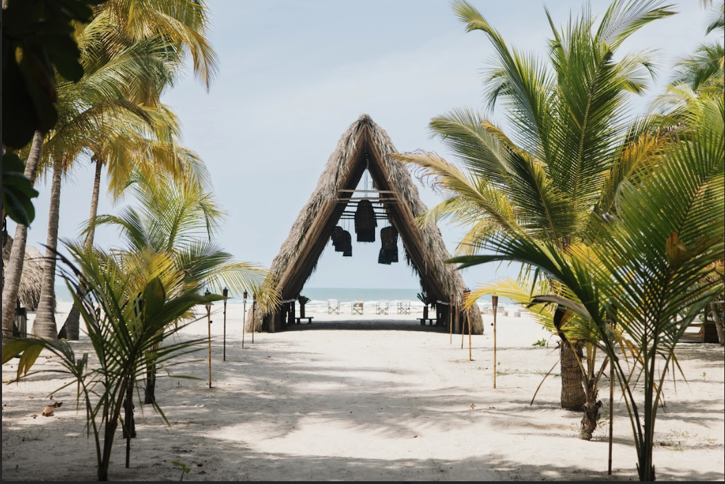 Screen Shot 2026-04-08 at 11.43.42 AM.png